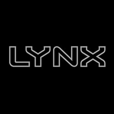 Lynx Brand Strategy Analysis